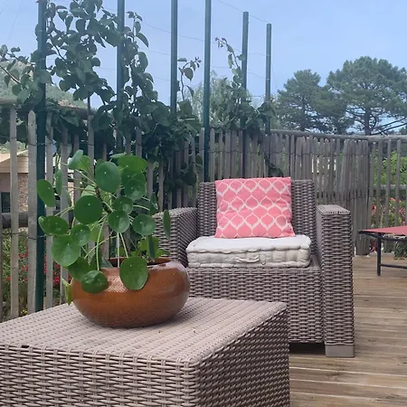 Holiday home Casa Jeanata Sainte-Lucie de Porto-Vecchio