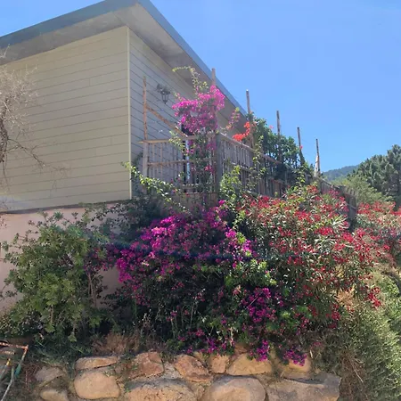 Hébergement de vacances Casa Jeanata