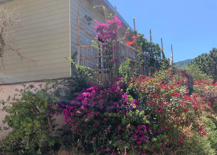 Hébergement de vacances Casa Jeanata